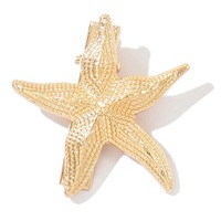 Barrettes à cheveux en alliage style INS avec design coquillage étoile de mer - Accessoires de cheveux de niche haut de gamme