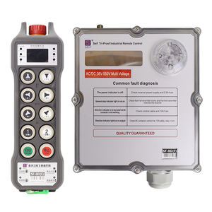 Fabricante Confiable de Interruptores de <span class=keywords><strong>Control</strong></span> Remoto para Grúas con Tecnología Biométrica Líder en China - Product Image 1