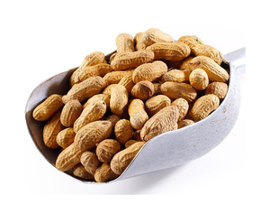 Venta al por mayor de alta calidad de maní 100% cacahuetes crudos naturales sin cáscara - Product Image 2