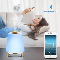 Humidificateur d'air ultrasonique domestique 300 ml en gros avec haut-parleurs, veilleuse colorée et diffuseur d'huiles essentielles