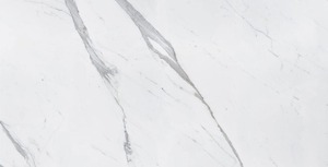 DLG 95มันวาวขนาด60x120ซม., กระเบื้องพอร์ซเลนระดับพรีเมียมสำหรับห้องโถงกลางแจ้งและห้องน้ำการตกแต่งภายในที่หรูหราขนาด600x1200มม. - Product Image 2