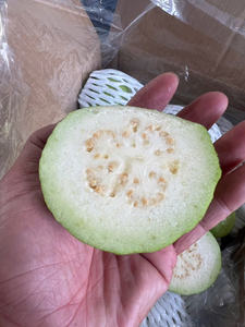 บรรจุภัณฑ์แบบกำหนดเองสำหรับฝรั่งสดจากเวียดนาม รสหวานธรรมชาติและอุดมด้วยวิตามิน สำหรับการผลิตภายใต้แบรนด์ส่วนตัว - Product Image 5