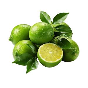 Citron vert frais sans pépins pour la transformation en jus, Vietnam, haute teneur en acide, haute qualité, durée de conservation de 12 mois, fournisseur en gros, usine - Product Image 6