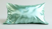 OEM Design personnalisé 16-22 Momme 6A Grade taie d'oreiller en satin de soie turc OEKO-TEX certifié vert menthe marine maison feuilles point blanc