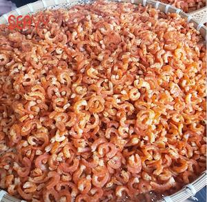 Camarones enteros secos-Mariscos secos de alta calidad para exportación-Vietnam - Product Image 4