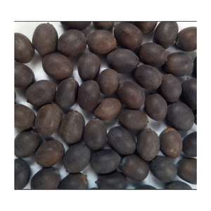 QUALITÉ SUPÉRIEURE POUR GRAINES DE LOTUS SÉCHÉES-GRAINES DE LOTUS NOIRES-GRAINES DE LOTUS BLANCHES AU MEILLEUR PRIX 2024 - Product Image 2