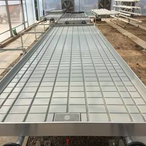 Table de culture roulante hydroponique à flux et reflux pour semis, idéale pour la culture de fleurs et de légumes en serre - Product Image 4