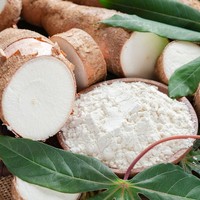 Farine de manioc en poudre, excellente qualité, amidon de tapioca en poudre pour l'industrie alimentaire et la pâtisserie, prix le plus bas