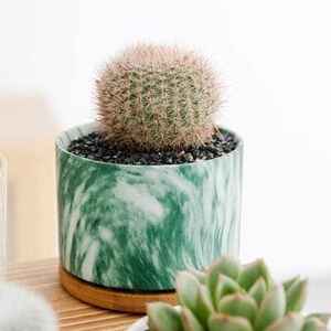 MACETAS FLORES - Product Image 2