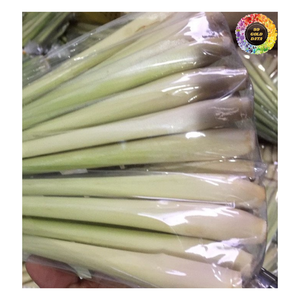 Hierba de limón congelada entera en rodajas picada, raíz de hierba de especias de hierba de limón congelada IQF, Exportación de hierba de limón congelada a granel - Product Image 2