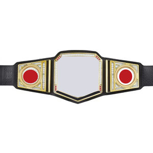 Design World Tag Team Heavyweight Wrestling Championship Title Custom Made <b>Belt</b> High Quality Championship <b>Belts</b> - Product Image 1
