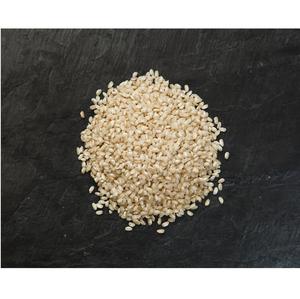 Graines de sésame blanches naturelles très demandées pour une cuisine saine, la pâtisserie et les commandes en gros disponibles en vrac - Product Image 1