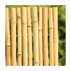 2024 MOSO BAMBOO <b>POLE</b> LARGE <b>POLES</b> <b>for</b> <b>GARDENING</b> FENCE BUILDING FACTORY WHOLESALE DIRECT BULK PRICE BAMBOO <b>POLES</b> - Product Image 4