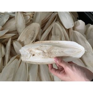 High Quality Cuttlefish Bone Supplement Cálcio-Rich Small <span class=keywords><strong>Food</strong></span> for Birds and Pets High Protein Feature