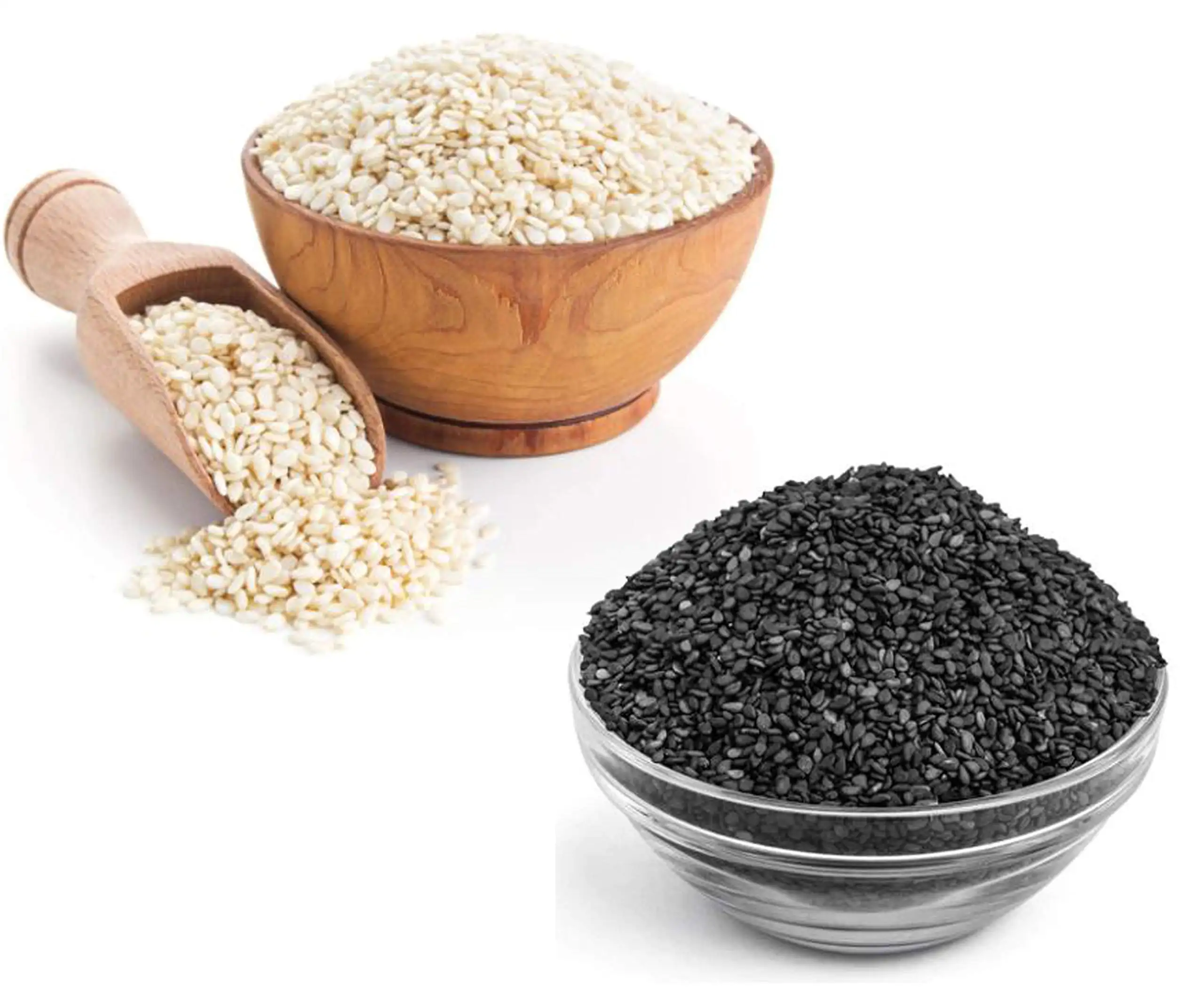 Hochwertige frische und trockene Sesam-Bio-Samen Versand bereit günstiger Preis/Großhandels preis