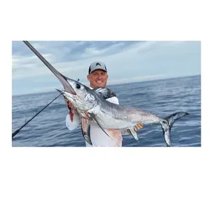 Precio más bajo HGT Frozen Sword Frozen Marlin Fish Sail piel suave aceite de pescado Calidad superior Cantidad a granel para exportaciones