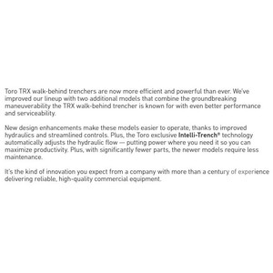 TORO TRX250 2023, état neuf - Product Image 1