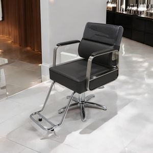 [Ecclim] ecclim No.26 EC-02A สำหรับพื้นที่ซาลอนในฝันของคุณ (เก้าอี้ร้านเสริมสวยและชุดย้อน) ในผลิตภัณฑ์ที่ขายดีที่สุด - Product Image 1