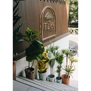 3 ramas 120 cm árbol de Dracaena Artificial hermoso producto decorativo para interiores y exteriores - Product Image 2