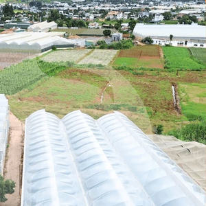 Advanced <b>Greenhouse</b> Film For Vegetables And Fruits Creating Stable Growing Conditions Through Heat Moisture Retention - Product Image 5