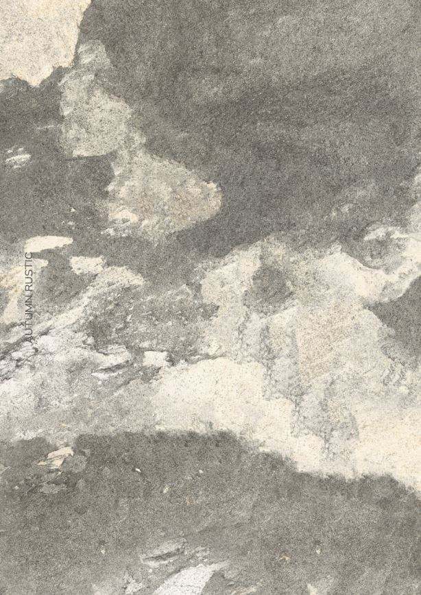 สีเทาอ่อน