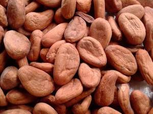 Granos de Cacao Forastero Orgánico Certificado, Grado AA, Tamaño 2.3cm, Cacao Tostado, 50kg, Origen CM, 99% Maduros para Procesamiento, en Venta - Product Image 3