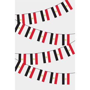Drapeau rectangulaire égyptien personnalisé 3x5 pieds, bannière guirlande, impression numérique, soie, coton, plastique, logo personnalisé pour l'automobile - Product Image 1