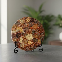 Plaque de Fossile d'Ammonite de Haute Qualité de 11 cm, Pierre Naturelle Polie, Sculpture en Cristal pour Décoration Moderne de la Maison, Ornement de Bureau, Vente en Gros