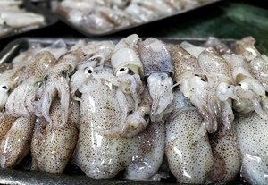 Premium Frozen <b>Octopus</b> From Vietnam Bulk Purchase with Competitive Wholesale Prices Quality Freshness Assured Box Packing - Product Image 4