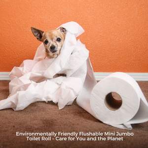 Luxury-Grade Mini Jumbo Bamboo 2-Ply Toilet <b>Paper</b> Soft Strong Virgin Wood Pulp Embossed Dots Skin-Friendly Jumbo <b>Roll</b> - Product Image 5