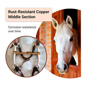 Bocado de Montura Western para Caballo, 5 Pulgadas, Cromado, de Acero Inoxidable Resistente al Óxido, Reutilizable, para Entrenamiento - HASHIR INTERNATIONAL - Product Image 3