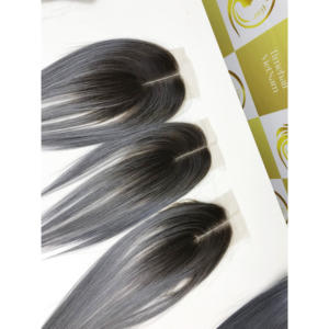 Surbrillance vietnamienne ombre gris racine foncée Personnaliser BoneStraight Machine Double Trame 100% Extensions de Cheveux Humains Vierges Remy - Product Image 1