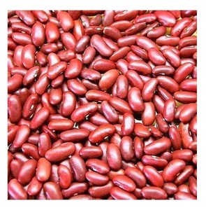 Prix de gros Fournisseur de haricots rouges Stock en vrac avec expédition rapide - Product Image 3