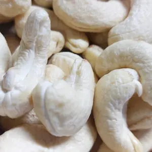 Factory Directly Cashew Nuts Kaju Premium Cashew Cashew Nuts From Vietnam With Custom Packaging