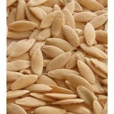 Semi di 500 biologici naturale Antalya campo aperto di mandorle semi di cetriolo