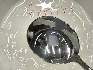 GELÉE DE NOIX DE COCO DE HAUTE QUALITÉ ET AU MEILLEUR PRIX DES FOURNISSEURS VIETNAMIENS - Product Image 2