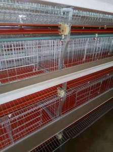 กรงไก่สัตว์ปีกระบบแบตเตอรี่ใหม่ครบชุดสำหรับนก120ความจุกรงไก่ชั้นไข่ - Product Image 5