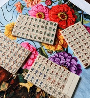 Tuiles de Mahjong de Luxe Style Lapin Porte-Bonheur en Acrylique, Jeu de Table Familial avec Caractères Chinois, Ensemble de Mahjong de 160 Pièces