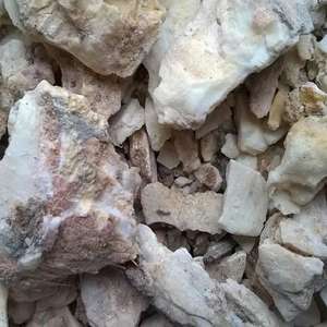 Fournisseur Vietnam Siam Gomme de benjoin Bon pour l'exportation - Product Image 5