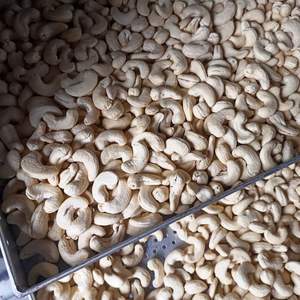 Noix de cajou du VIETNAM WW320 WW240 LP WS, prix le plus bas, noix de cajou brute, origine du Vietnam, qualité séchée, nouvelle saison - Product Image 5