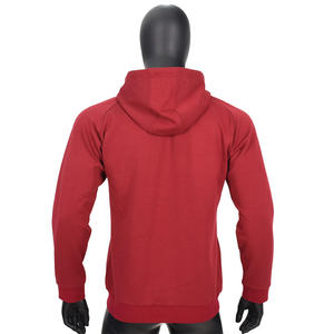 Sweat-shirts à capuche vierges pour hommes, personnalisables avec logo, en coton lourd 360 g/m², qualité supérieure COI - Product Image 2