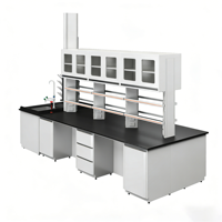Meuble de laboratoire central pour hôpital et école, îlot de travail pour tests chimiques, surface en acier, design moderne, usage commercial