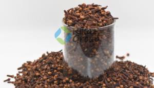 Ingredientes crudos de clavo orgánico Premium de alta calidad para la salud y la agricultura - Product Image 5