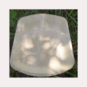 Placas de Palma ecológicas de alta calidad Gran descuento 2025 Hecho en Vietnam - Product Image 4