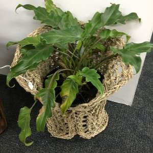 เสื่อหน้าประตูหญ้าทะเลที่ทันสมัยเป็นมิตรต่อสิ่งแวดล้อมของตกแต่งบ้านน่ารักแขวนผนังงานฝีมือสำหรับใช้ในห้อง - Product Image 6