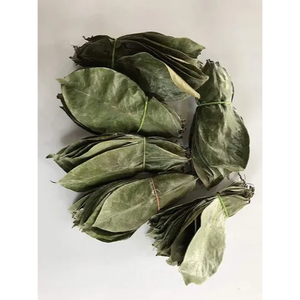 Hojas de Guanábana orgánicas recogidas a mano, hojas secas de Annona Muricata Guanabana - Product Image 2