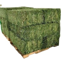 Alfalfa de qualité supérieure, 100% naturel, en cubes, haute teneur en protéines, améliore la santé, 25 kg/sac, pour bovins, chevaux, porcs, chiens, poissons, poulets