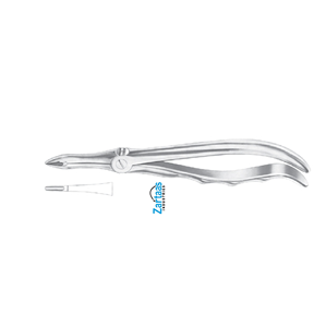 คีมดึงรากด้านบนทำจากสเตนเลสสตีลผู้ส่งออกและผู้ผลิต41ราย - Product Image 4