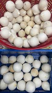 Tinimex Coco Tierno Natural para Posicionamiento de Marca, Bebida Saludable Premium - Product Image 2