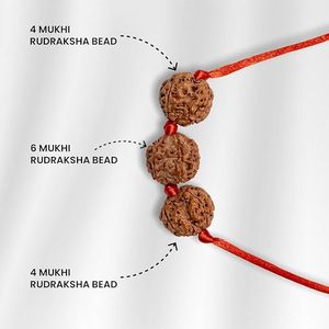 Nepal Cao Cấp <span class=keywords><strong>20</strong></span> <span class=keywords><strong>Mukhi</strong></span> Rudraksha Với Đóng Nắp Phòng Thí Nghiệm igl Chứng Nhận Ong <span class=keywords><strong>Mukhi</strong></span> Cho Làm Mặt Dây Chuyền Mala <span class=keywords><strong>20</strong></span> Mặt Rudraksha Xuất Khẩu - Product Image 5